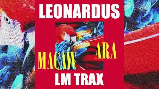 Leonardus - Macaw