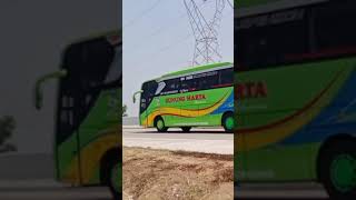 ROSIN vs Gunung Harta seset kiri Km306 pemalang  #fypシ #huntingbus  #shorts  #bismania