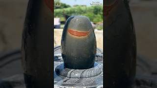 18 inch Tilakdhari Narmadeshwar Shivling with Jaladhari #narmadeshwarshivling #hindugod #narmda