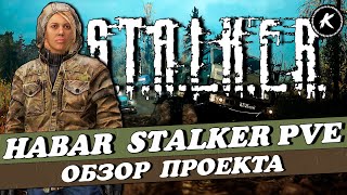 ОБЗОР ПРОЕКТА HABAR STALKER PVE I карта AOD #dayz #stalker