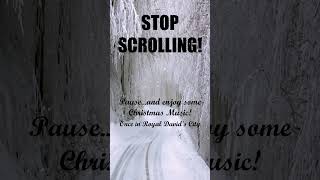 DAY 2: Once in Royal David's City #stopscrolling #christmasmusic #shorts