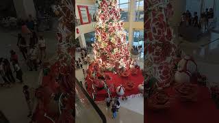 Red rose Giant Christmas tree of Robinsons🎄