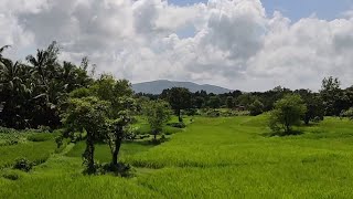 Onboard 12051 Janshatabdi Express Amezing View Between Kudal & Zarap  #janshatabdiexpress #konkan