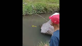 Moment Asiknya Mancing / Fun Fishing Moment #Shorts