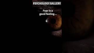 Fear is a good feeling...🤦‍♂️#shorts #shortsvideo #motivation #psychology