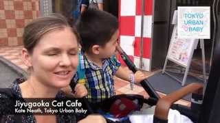 Jiyugaoka Cat Cafe with kids - "Neko Cafe Club"