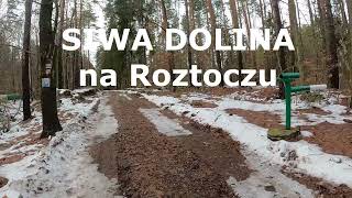 Come for a walk - Roztocze ścieżka przyrodniczo-edukacyjna Siwa Dolina - 28.12.2022 r.