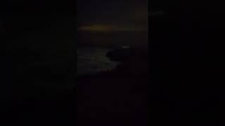 seals screaming in the night #socal