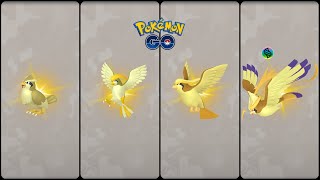 Pokemon Go: Evolving Shiny Pidgey into Pidgeotto & Pidgeot And Mega Pidgeot