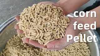 Flat Die Feed Pellet Machine  #livestock #poultry #feedmachine #machine #unit #pellet #cattlefeed