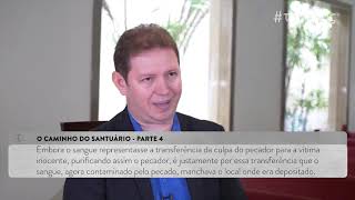 teo.doc.15.4 - O Caminho do Santuário - parte 4