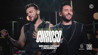 Bruno Cesar e Rodrigo - CURIOSO - #DireitosAutorais