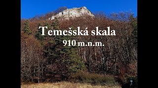 Temešská skala 910 m.n.m.  -  21.1.2024