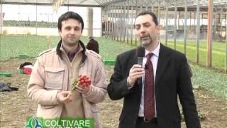 Coltivare insieme 2 - Visita ad una azienda di un socio della Soc.Cooperativa Agricola di Legnaia