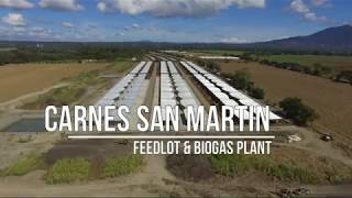 Nicaraguan Beef and their sustainability program in Carnes San Martín