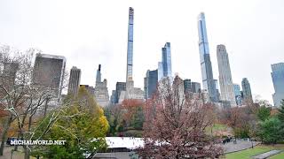 Central Park NYC skyline long