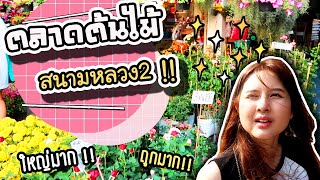 ตลาดต้นไม้ - สนามหลวง 2 !! | ArisajungWorld