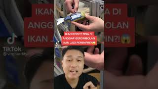 Ikan Robot Bisa Bikin Gerombolan Ikan jadi Pemimpin🤔🤔| IG Virgaraditya