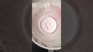 Turbo wall fan?