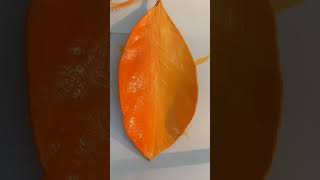 ||a painting of a desert sunset||leaf art#acrylic painting#art#viral #leafart#shortvideo#karabi art#