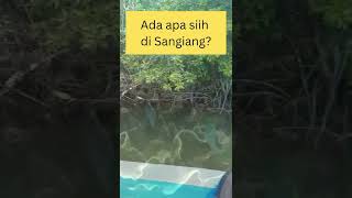 Ada apa sih di Pulau Sangiang Anyer Banten? Tim jalan-jalan layak datang kesana ga ya? ✅ or ❌