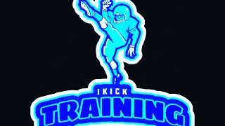 RAW JAKE WALTERS IKICK TOP TRAINEE MECHANICS STEPS EVALUATION HELP TRAINING VIRTUAL OFFER NOW‼️🆘