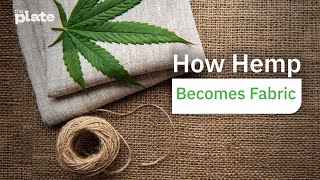 How Hemp Becomes Fabric