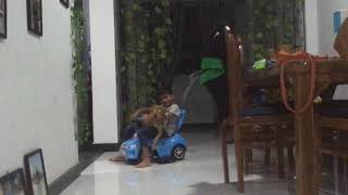 Thuheen & puppy riding