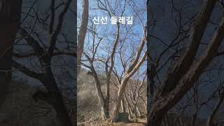 지리산 산촌생태마을 원천마을에서 바래봉에 이르는 신선둘레길 팽나무전 쉼터