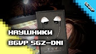 Обзор наушников BGVP SGZ DN1