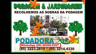 PODA CORTA ARVORE NO BARROSO (85) 3214.4330