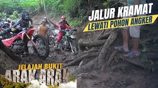 LEWATI POHON ANGKER !! Licin Berbatu Berlumpur Berakar !! (Arak Arak Bondowoso TAMAT)