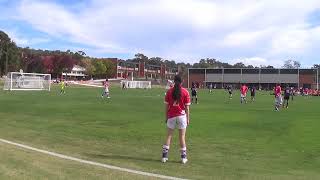 2024 NPL15 - Game 4 - Radford(3) vs CCFC(8)