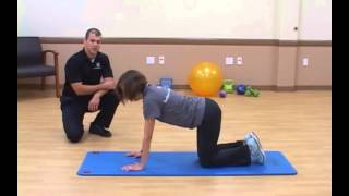 LiveWell Basic Exercises: Cat Camel