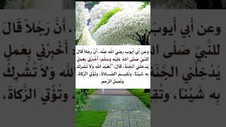 من أقوال الرسول صلى الله عليه وسلم ‏⁧‫#السنة_النبوية‬⁩  #متفق_عليهً