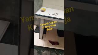 Keramik lantai dapur