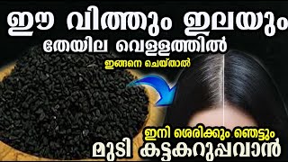 ഈ വിത്ത് ഉണ്ടോ?? വെളുത്ത മുടി കരിപോലെ /hair care /poppy vlogs /malayalam