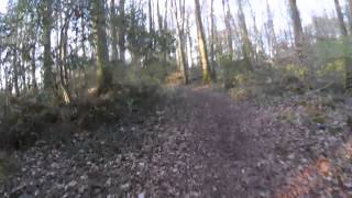 MTB Spin in Clarinbridge - Galway