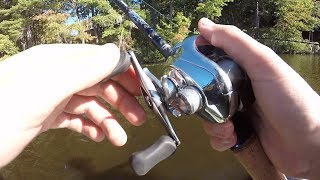 I Stole my Friends Shimano Antares DC and Caught A Fish on it