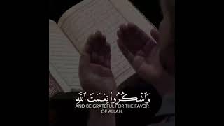 ‏﴿ حَتَّى إِذَا جَاءَ أَحَدَهُمُ الْمَوْتُ قَالَ رَبِّ ارْجِعُونِ لَعَلِّي أَعْمَلُ صَالِحًا ﴾