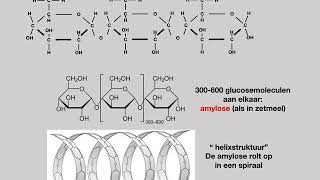 glucose, vorming van zetmeel uit glucose. Verschillende soorten glucose. Simpel glucose tekenen.