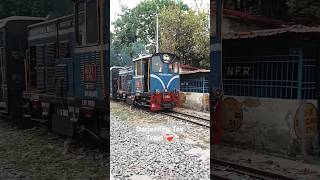 Darjeeling Toy Train #status #music #trending #viral #darjeeling #toytrain #shorts #short #love #bts