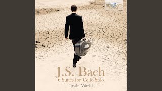 Cello Suite No. 2 in D Minor, BWV 1008: IV. Sarabande