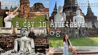 Ayutthaya (Bangkok) - Thailand Urlaub Vlog ♡ Schildkröten, Tempel, Big Buddha und Sonnenschein 🐢🌞