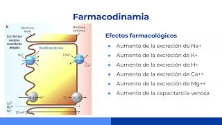 Diureticos verano23