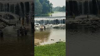 கொடிவேரி அணை | Kodiveri Waterfalls #waterfall #water #shorts #trending #reels #shortsfeed #kodiveri