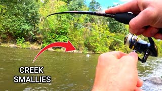 CREEK FISHING for BIG Smallmouth BASS - Potomac River Tributary