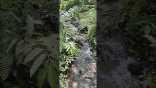 beautiful landscapes flowing water sound