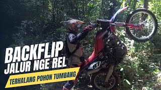 HAMPIR BACKFLIP !! Jalur Terhalang Pohon Tumbang