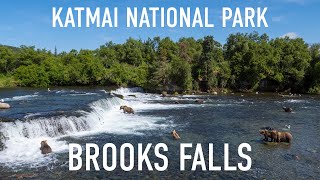 Brooks Falls: World-Famous Bear Viewing